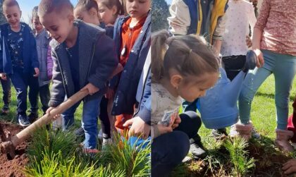 Od malena se uči: Najmlađi Hercegovci sadnjom drveća obilježili Dan šuma