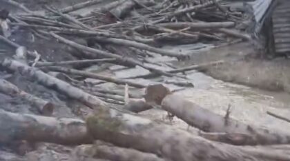 Ekocid kod Kneževa: Rijeka Ilomska zatrpana blatom i balvanima VIDEO