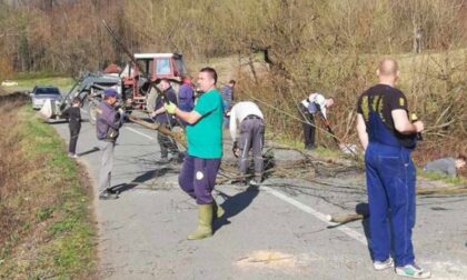 Organizovane tri radne akcije: Mještani Starog Martinca kod Srpca zajedničkim snagama uređuju selo