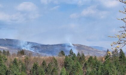 Gori trava i nisko rastinje: Požar na planini Lunjevača