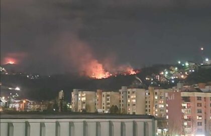 Ekipa vatrogasaca na terenu: Buknuo požar u ovom dijelu BiH