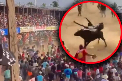 Neviđeni užas na festivalu: Razjareni bik uletio u publiku i ubio dva čovjeka VIDEO