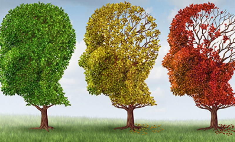 Slabije pamćenje može biti posljedica manjka vitamina: Evo kako se izboriti sa ovim stanjem