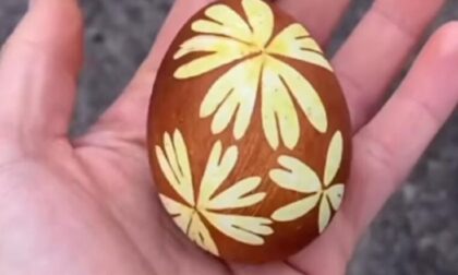 Najljepša i najzdravija tehnika: Ovako će vam se svaki cvijet preslikati na jaje VIDEO