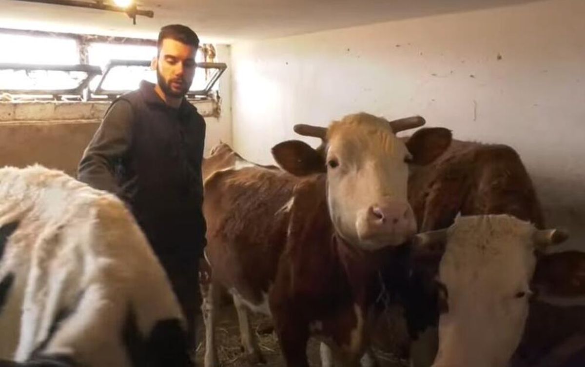 Završio fakultet pa se vratio na selo da radi u struci: Posao vodi sa porodicom, sve proizvode sami VIDEO