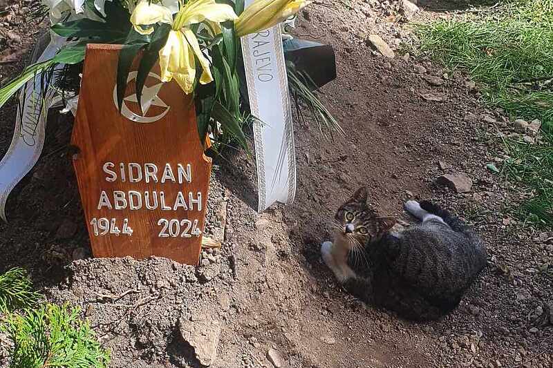 Ni nakon dva dana od sahrane: Mačka se ne odvaja od groba Abdulaha Sidrana VIDEO