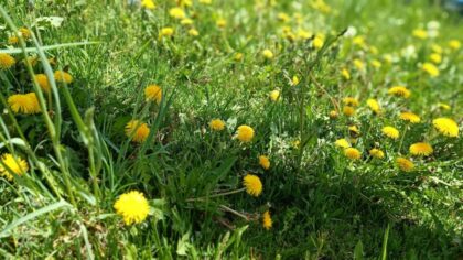 Meteorolozi za danas najavili toplije, vjetrovito i pretežno sunčano vrijeme