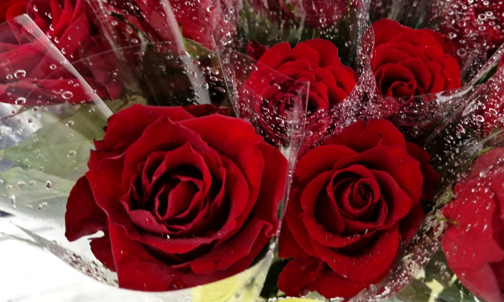 Poklon sa porukom: Šta nikako ne darivati za Osmi mart i zašto pogrešan izbor može uvrijediti