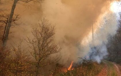 Požar u Kosanici, ugrožena domaćinstva: Jak vjetar otežava gašenje vatre