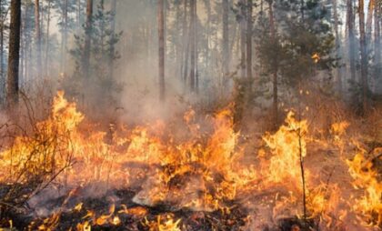 Požar u Tesliću: Gorjelo rastinje i šuma, pričinjena veća materijalna šteta
