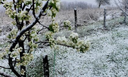 Čeka li nas snijeg u aprilu: Meteorolog o čudnim vremenskim (ne)prilikama