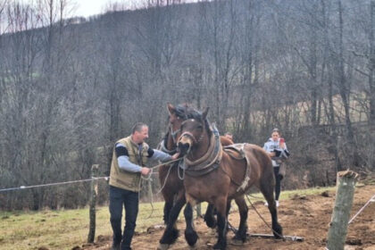 “Štraparijada” u Ljubačevu kod Banjaluke: Jedinstven događaj i svojevrsno putovanje kroz vrijeme