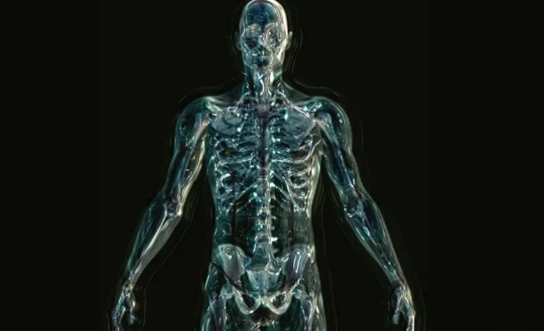 Da li ste znali? Dijelovi tijela bez kojih se može živjeti