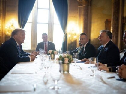 Viktor Orban se sastao sa Donaldom Trampom na Floridi