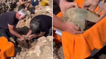 Arheolozi na Pelješcu iskopali grčko-ilirsku kacigu VIDEO