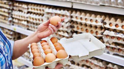 Novo poskupljenje: Ptičji grip podiže cijene jaja