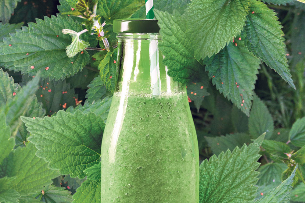 Ojačajte imunitet: Sok od koprive – vitaminska bomba