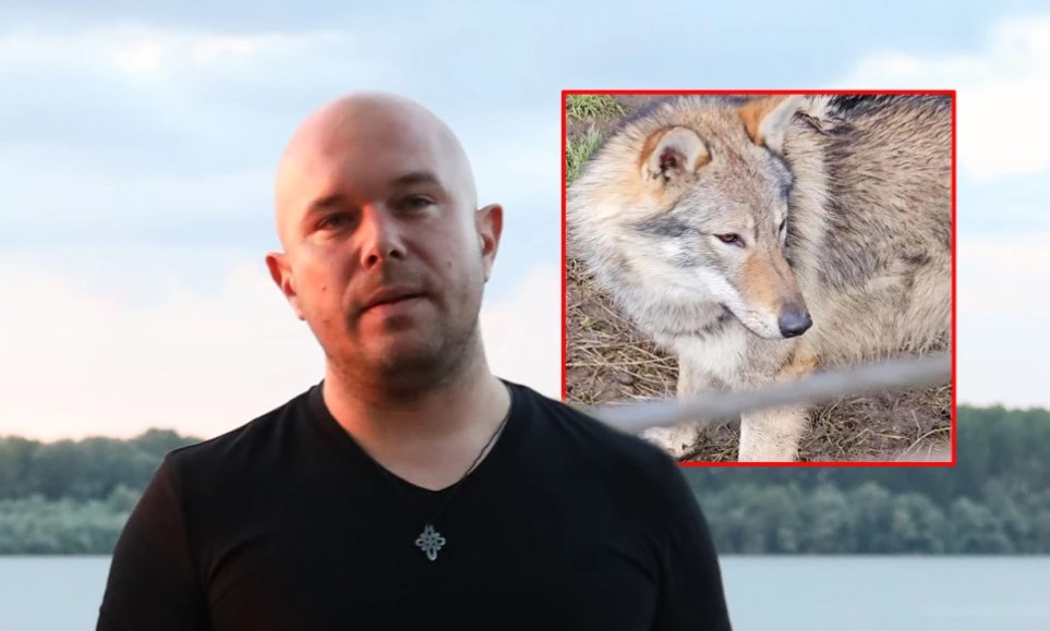 Životinju krasi predivno ime: Pjevač udomio vučicu VIDEO