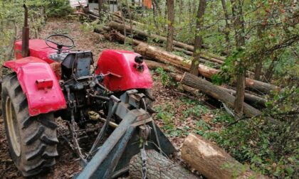 Izgubio kontrolu nad traktorom: Muškarac poginuo izvlačeći stablo iz šume