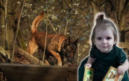 Pas Zigi bio na tragu zločina: Došao do puta gde je mala Danka ubijena