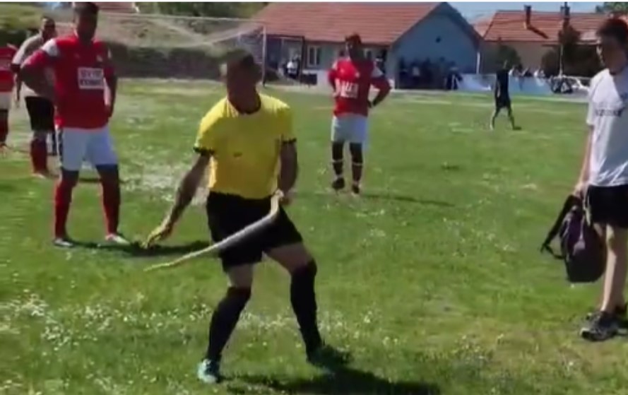 Nezvani gost ušao na teren: Sudija zadobio dva ugriza zmije VIDEO