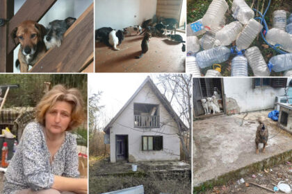 Aleksandra živi sa 65 pasa i 28 mačaka u kući bez struje i vode: Nemam nikoga ko će me naslijediti