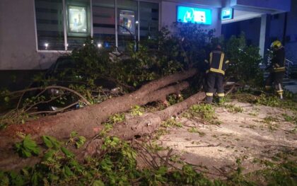 Posljedice olujnog nevremena u Banjaluci: Intervenisala Vatrogasna brigada, oborena dva stabla