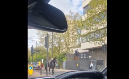 Drama u Londonu: Odbjegli konji jure centrom grada VIDEO