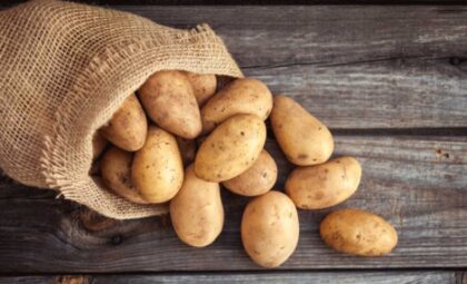 Ni slučajno ga ne jedite: Evo kako izgleda krompir pun toksina