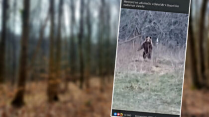 Čovjek iz sela u BiH sprijateljio se s medvjedom: Ajde ruča, neće tebe tvoj Pavo dirati VIDEO
