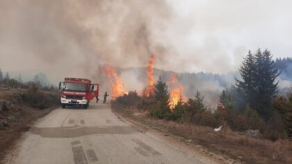 Gori više od 100 hektara površine: Vatra trenutno pod kontrolom