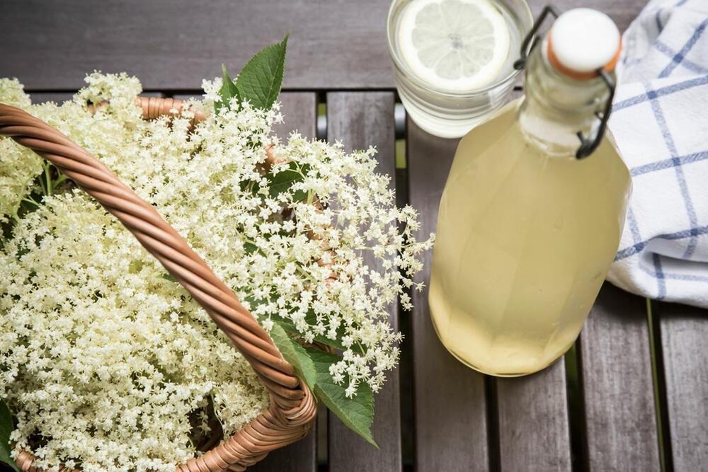 Jača imunitet i osvježava dušu: Evo kako da napravite domaći sirup od zove