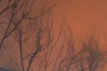 Izbio veliki požar: Jaka kiša spasila domaćinstva u Mladikovinama od vatrene stihije