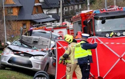 Užas! Drvo palo na automobil, usmrtilo dijete (6) i tri osobe