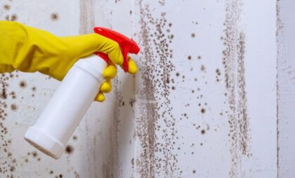 Trik za čišćenje zidova bez krečenja: Sve što vam je potrebno su tri sastojka