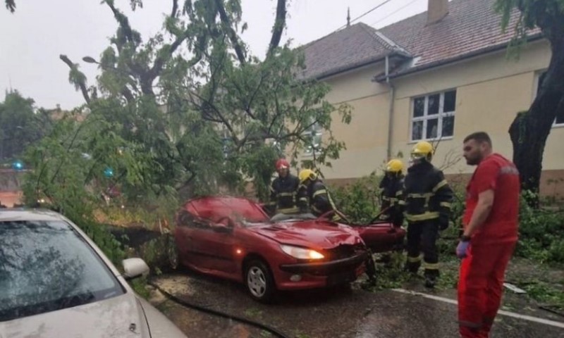 Palo na vozilo: Drvo usmrtilo ženu prilikom nevremena