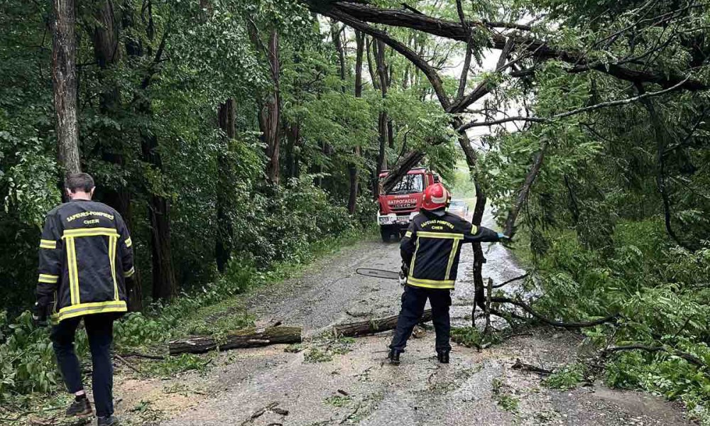 Vatrogasci na terenu: Jak vjetar obarao grane u ovom dijelu Srpske