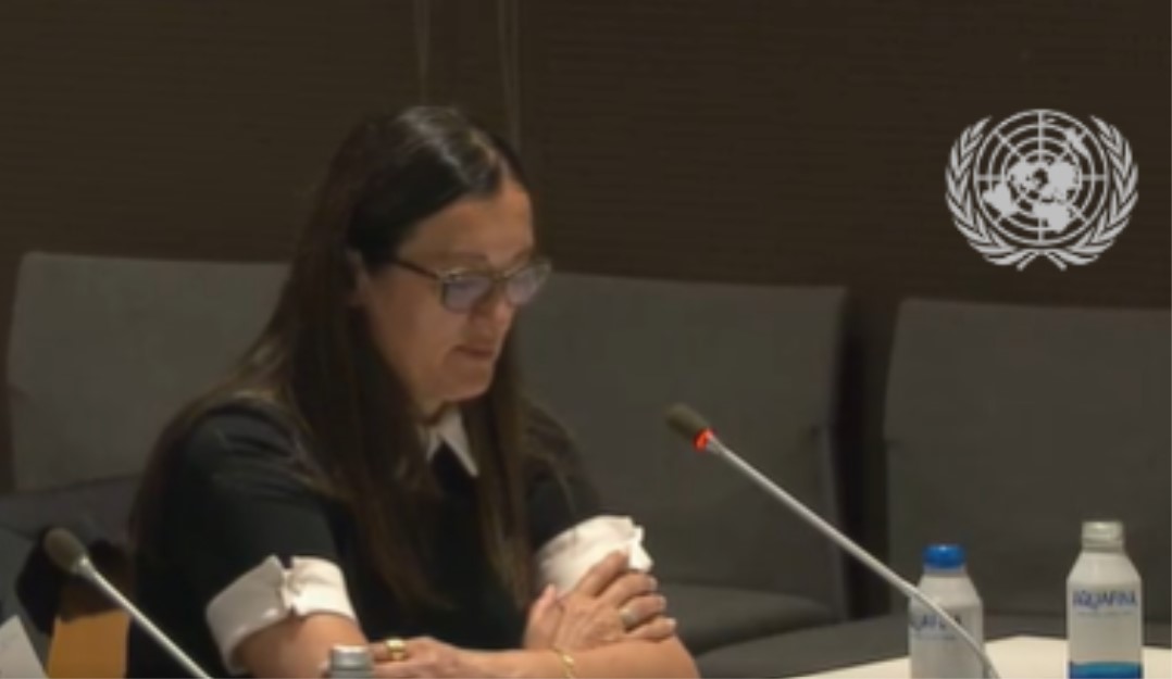 Panel diskusija u sjedištu UN-a: U toku svjedočenje srpskih žrtava rata u BiH