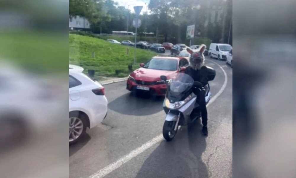 Vozači u nevjerici! Zečica na motociklu privlači poglede svima u saobraćaju