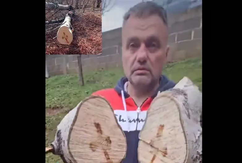 Božiji znak u Banjaluci: Bošku se ukazao krst kada je presjekao drvo VIDEO