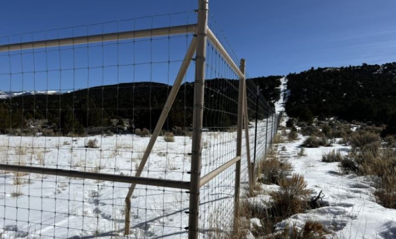 Tajkun oko imanja podigao ogradu dugu 32 kilometra, pa “zaratio” sa lokalnim stanovnicima