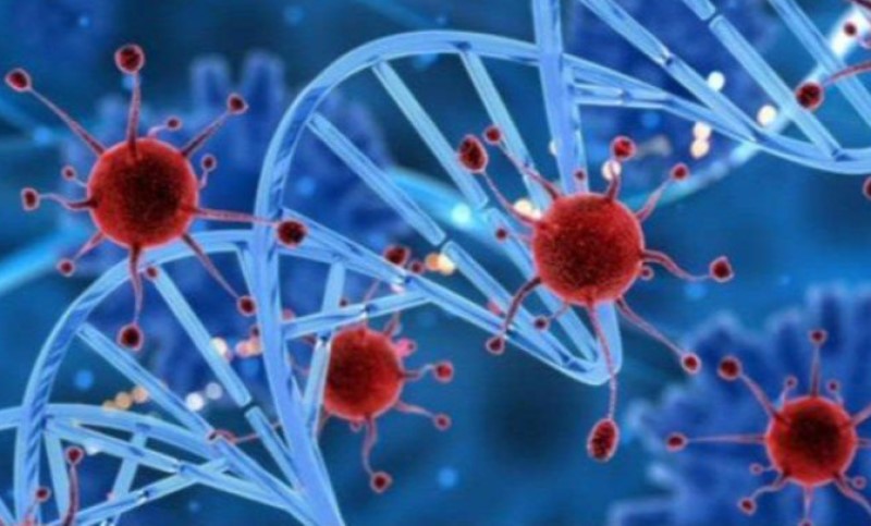 Nije sve u genima! Novo istraživanje naučnika otkrilo vezu između hrane i razvoja tumora