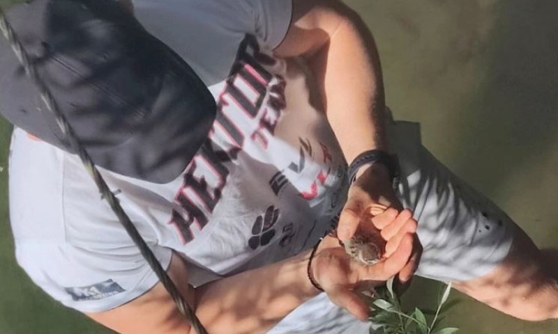 Banjalučani spasili vrapčića iz Vrbasa: “Pomogli, izmazili i vraćamo ga jer ga mama čeka”