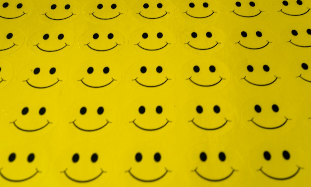 Dnevna doza humora: Medvjed i karate