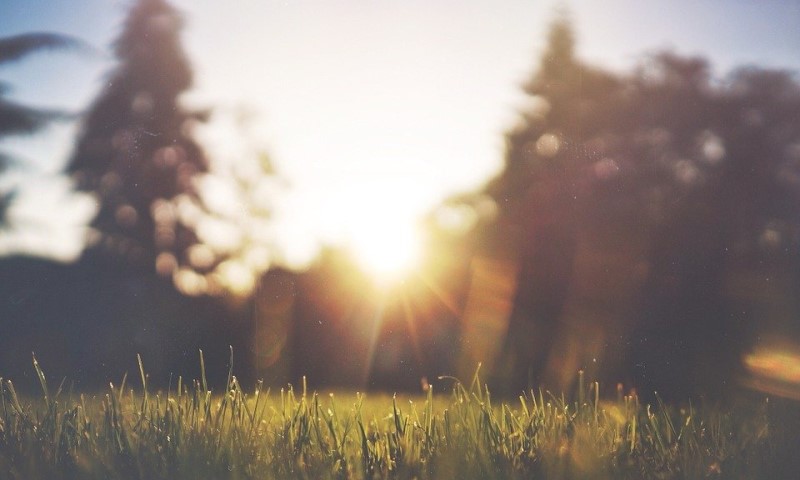 Temperatura do 37 stepeni: Sutra pretežno sunčano, popodne naoblačenje