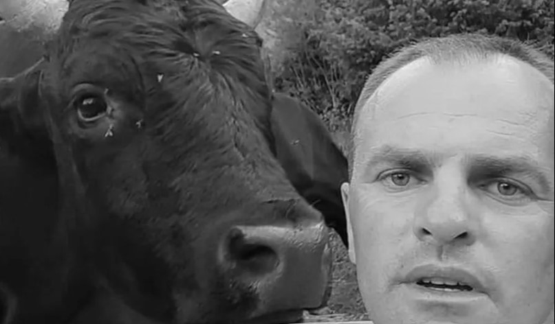 Tragičan slučaj u BiH: Bik usmrtio vlasnika (44)