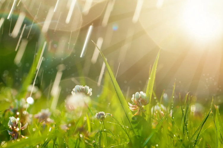 Sutra sunčano do 38 stepeni: U drugom dijelu dana se očekuju pljuskovi