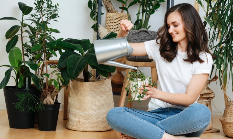 Nije šala! Teta Jela savjetuje da pivom zalijete cvijeće, a evo i zašto