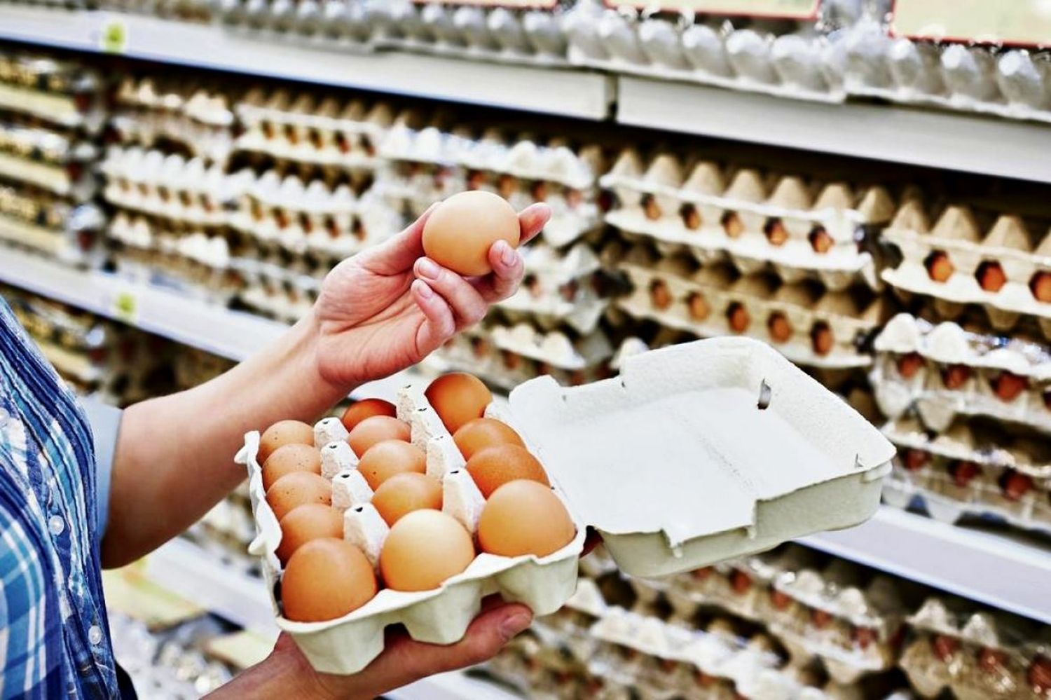 Zbog salmonele: Iz trgovačkog lanca povučena ova jaja