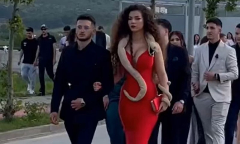 Detalj definitivno ukrao šou: Djevojka na proslavu mature stigla sa zmijom oko vrata VIDEO